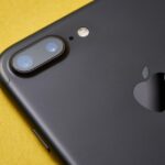 Xavier wendling e2dDvdH3lIY unsplash