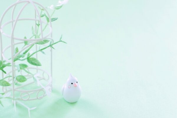 鳥かご掃除におすすめな洗剤を紹介!インコにも人にも優しいモノ ｜ まみーむめも