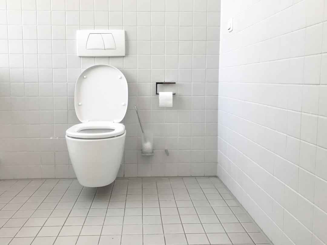 toilet cleaning daily habit motivation