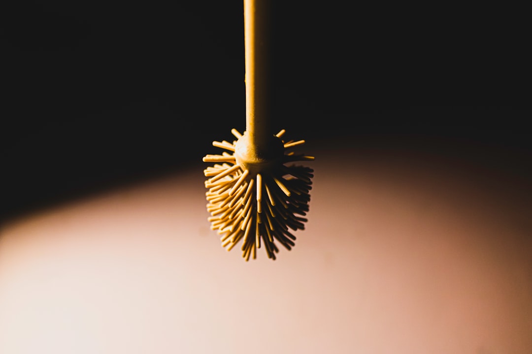 toilet brush scrub cleaning method step