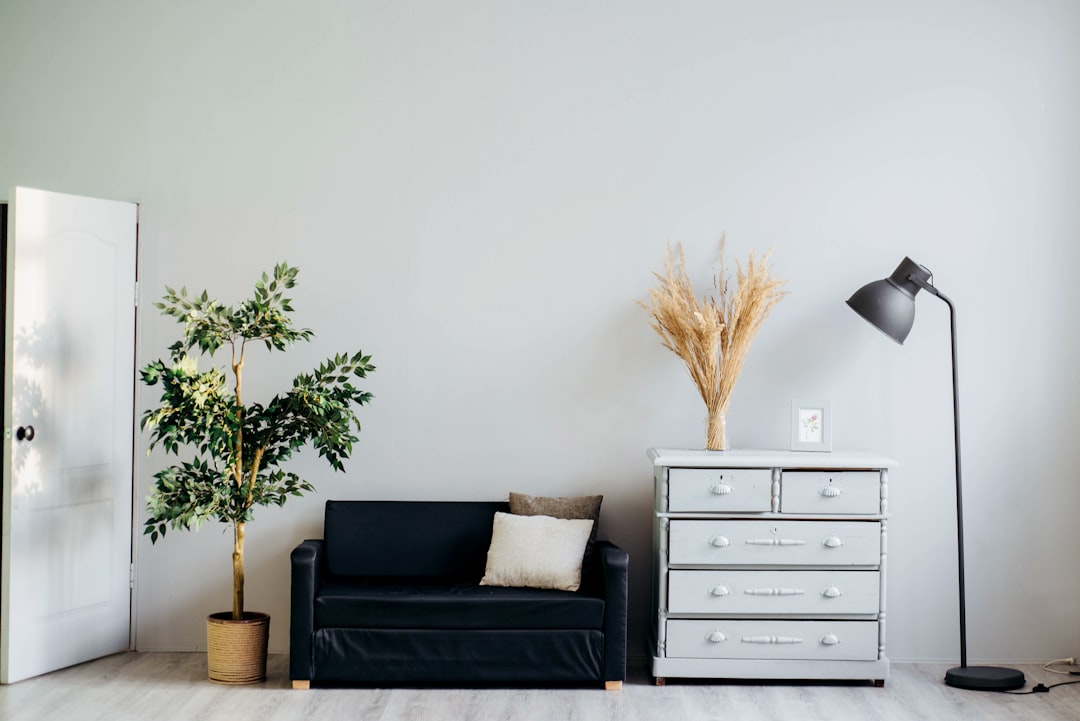 clean healthy tidy home room