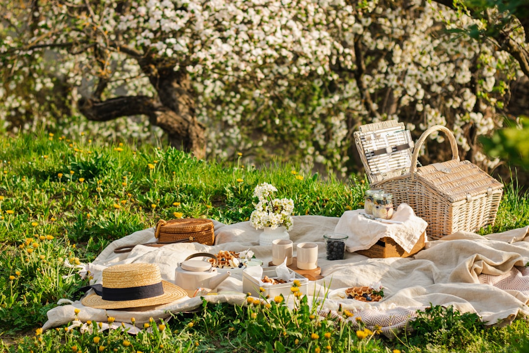 Hanami mochimono